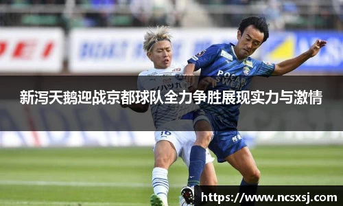 新泻天鹅迎战京都球队全力争胜展现实力与激情